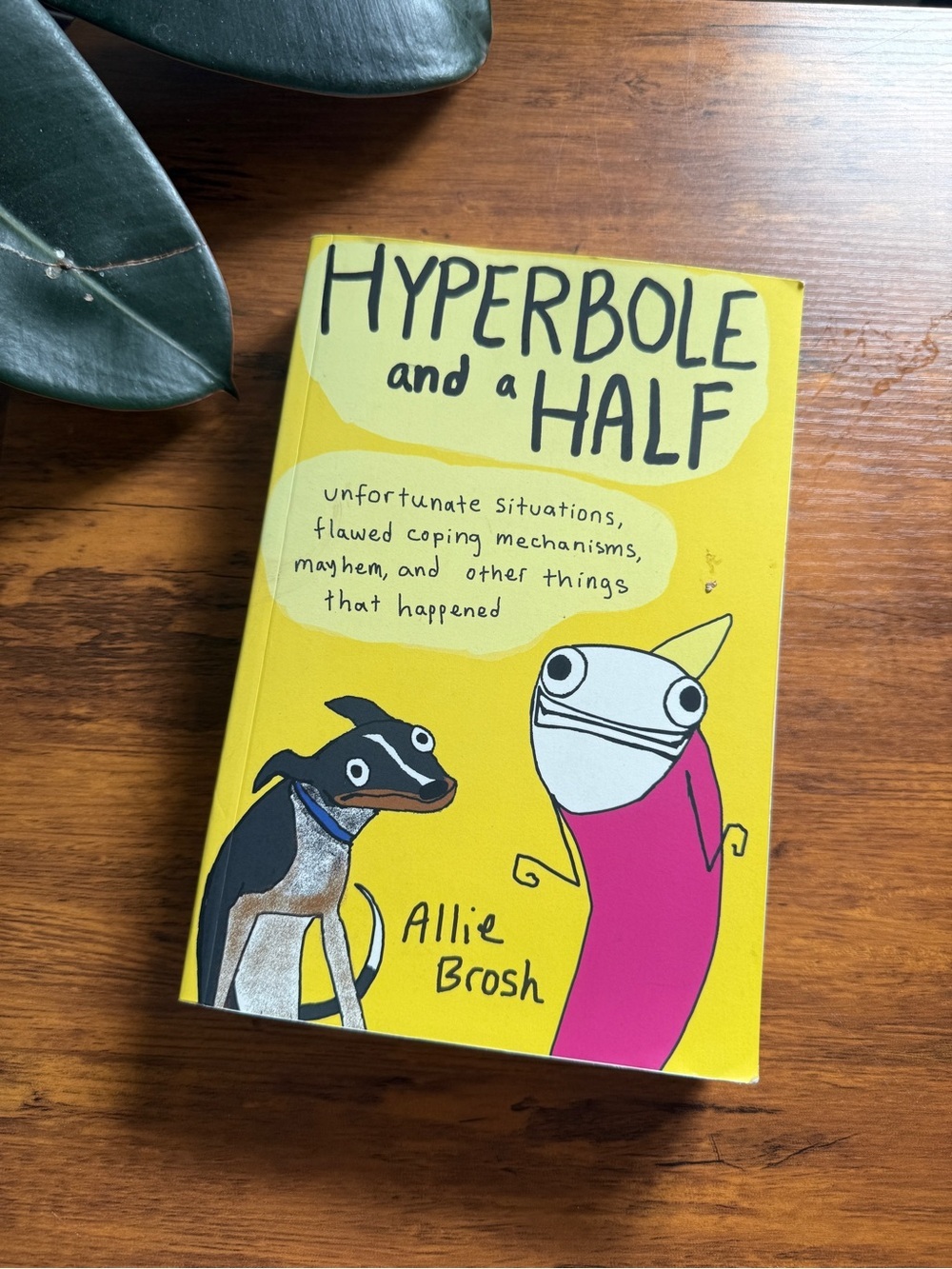 Hyperbole and a Half by Allie Brosh - Bright Yellow Cover book